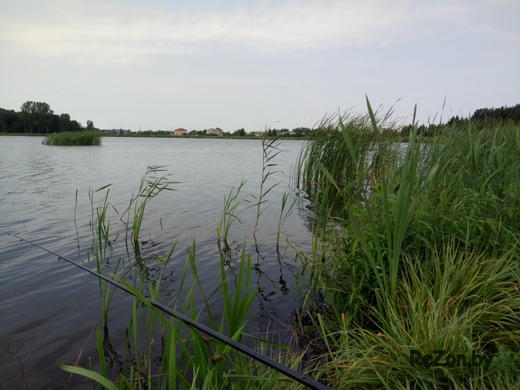 Платная рыбалка в Беларуси
