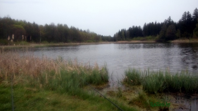 Рыбалка в Минске - май 2015