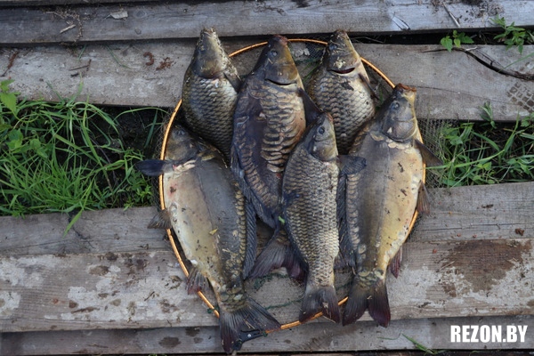 Платная рыбалка в Беларуси 2022