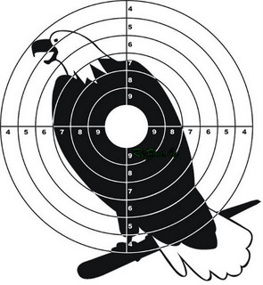 Мишени и тиры для стрельбы купить в ROZETKA: выбор для профессионалов и начинающих