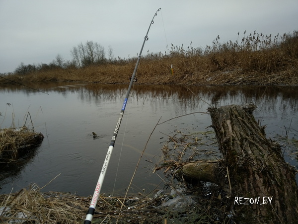 Рыбалка на реке Птичь