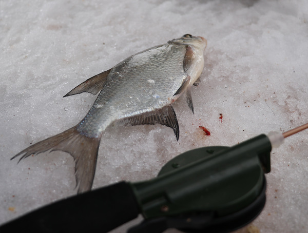 Рыбалка на Минском море 2019