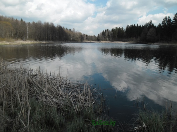 Рыбалка на карася - отчет 2015 (Дзержинский район, Беларусь)