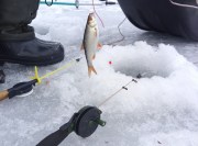 Товары для зимней рыбалки